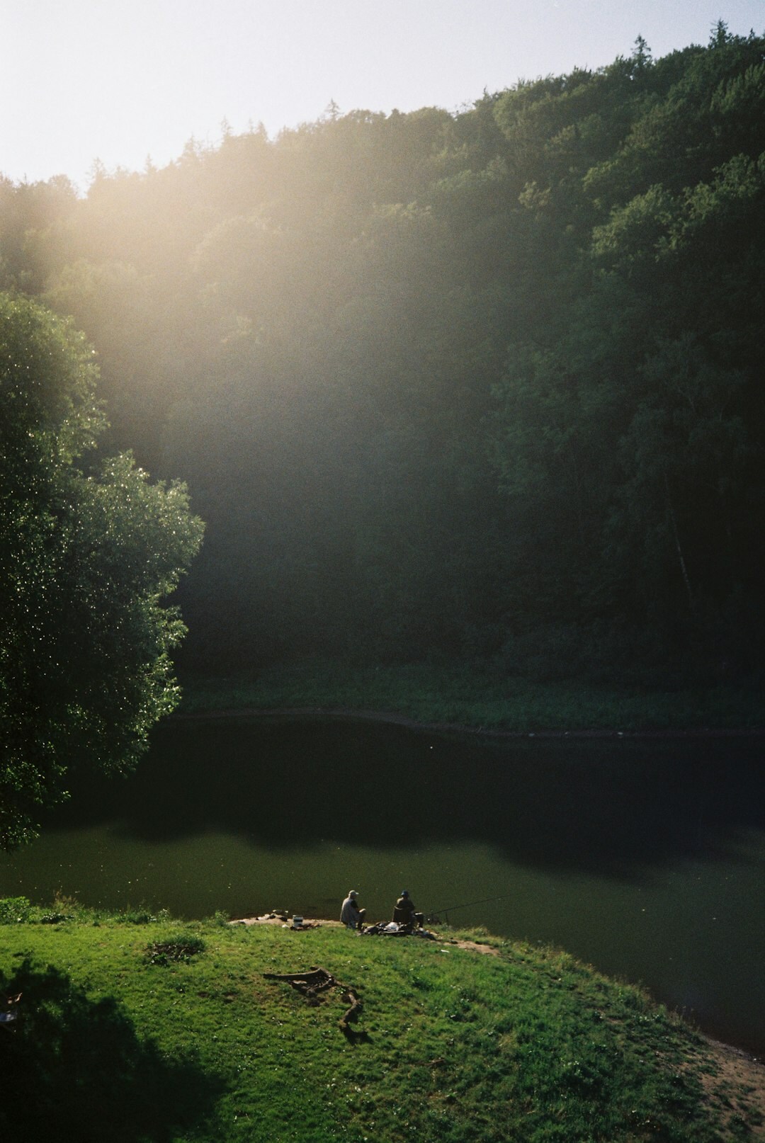people relaxing in nature